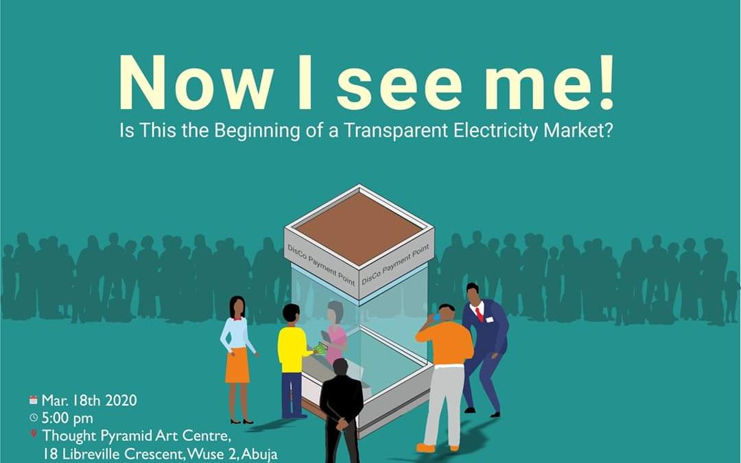 Now I See Me: The Nigerian Electricity Market