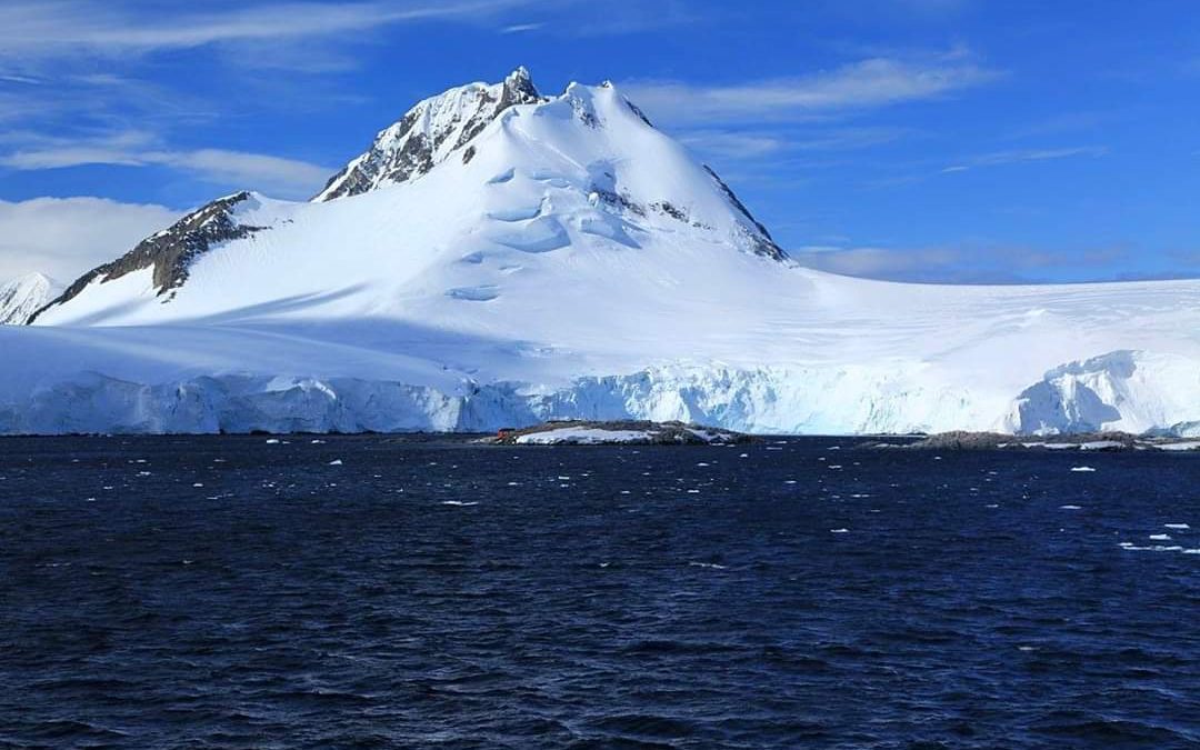 Antarctica Could Go Green As A Result Of Climate Change, scientists warn